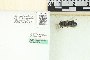 Media type: image;   Entomology 769194 Aspect: Labels